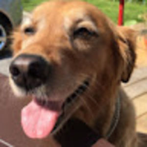 Meet your Posher, Steven